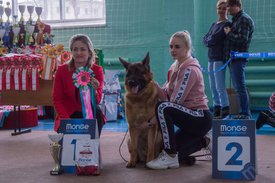 _DSC3428.jpg (91.31 КБ, Просмотров: 9617) _DSC3428.jpg