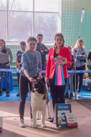 _DSC3569.jpg (89.09 КБ, Просмотров: 9957) _DSC3569.jpg