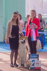 _DSC3574.jpg (81.05 КБ, Просмотров: 9967) _DSC3574.jpg