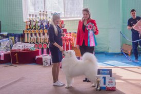 _DSC3592.jpg (86.62 КБ, Просмотров: 9408) _DSC3592.jpg