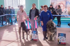 _DSC3609.jpg (94.49 КБ, Просмотров: 9967) _DSC3609.jpg