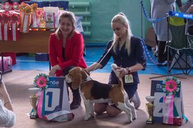 _DSC3622.jpg (95.3 КБ, Просмотров: 10454) _DSC3622.jpg