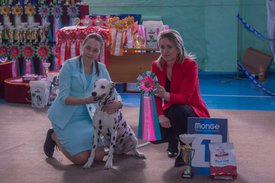 _DSC3635.jpg (85.35 КБ, Просмотров: 10452) _DSC3635.jpg