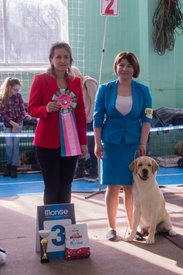 _DSC3651.jpg (81.19 КБ, Просмотров: 9621) _DSC3651.jpg