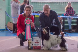 _DSC3657.jpg (88.28 КБ, Просмотров: 9412) _DSC3657.jpg