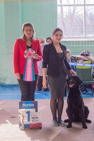 _DSC3670.jpg (78.89 КБ, Просмотров: 10435) _DSC3670.jpg