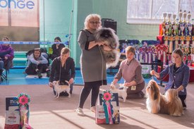 _DSC3758.jpg (98.54 КБ, Просмотров: 9412) _DSC3758.jpg