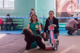 _DSC3762.jpg (85.31 КБ, Просмотров: 9945) _DSC3762.jpg