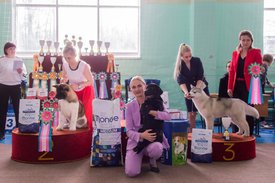 _DSC4165.jpg (89.94 КБ, Просмотров: 10449) _DSC4165.jpg