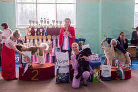 _DSC4171.jpg (92.08 КБ, Просмотров: 10432) _DSC4171.jpg