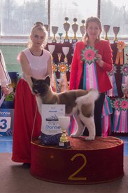 _DSC4179.jpg (80.82 КБ, Просмотров: 9403) _DSC4179.jpg