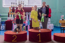 _DSC4189.jpg (89.18 КБ, Просмотров: 9409) _DSC4189.jpg