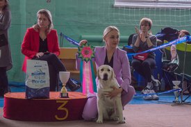 _DSC4214.jpg (83.11 КБ, Просмотров: 9408) _DSC4214.jpg