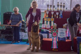 _DSC4217.jpg (85.95 КБ, Просмотров: 9613) _DSC4217.jpg