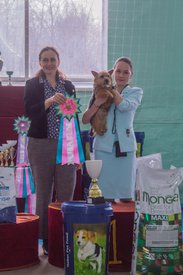 _DSC4227.jpg (81.37 КБ, Просмотров: 9608) _DSC4227.jpg