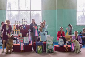 _DSC4234.jpg (87.21 КБ, Просмотров: 9407) _DSC4234.jpg