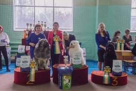 _DSC4247.jpg (88.91 КБ, Просмотров: 9573) _DSC4247.jpg