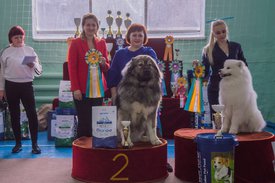 _DSC4251.jpg (86.48 КБ, Просмотров: 9613) _DSC4251.jpg