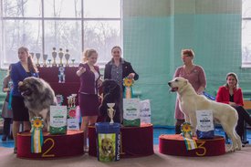 _DSC4267.jpg (86.48 КБ, Просмотров: 9409) _DSC4267.jpg