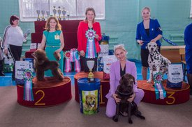 _DSC4270.jpg (96.68 КБ, Просмотров: 10432) _DSC4270.jpg