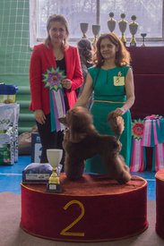 _DSC4286.jpg (82.92 КБ, Просмотров: 9940) _DSC4286.jpg