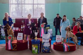 _DSC4305.jpg (95.63 КБ, Просмотров: 10914) _DSC4305.jpg
