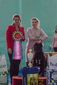 _DSC4318.jpg (75.69 КБ, Просмотров: 9940) _DSC4318.jpg