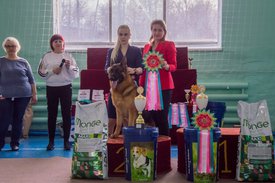 _DSC4330.jpg (90.2 КБ, Просмотров: 10430) _DSC4330.jpg