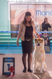 _DSC3814.jpg (81.59 КБ, Просмотров: 9941) _DSC3814.jpg