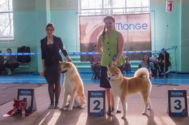 _DSC3850.jpg (81.35 КБ, Просмотров: 9941) _DSC3850.jpg