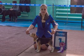 _DSC3877.jpg (74.51 КБ, Просмотров: 9602) _DSC3877.jpg