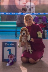 _DSC3893.jpg (74.52 КБ, Просмотров: 9398) _DSC3893.jpg