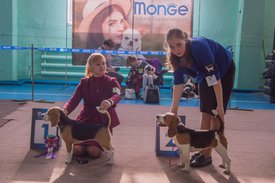 _DSC3915.jpg (81.04 КБ, Просмотров: 9930) _DSC3915.jpg