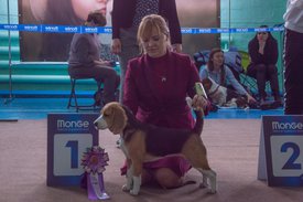 _DSC3932.jpg (76.94 КБ, Просмотров: 9951) _DSC3932.jpg