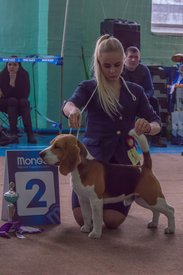 _DSC3948.jpg (71.92 КБ, Просмотров: 9395) _DSC3948.jpg