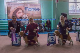 _DSC3953.jpg (86.78 КБ, Просмотров: 9392) _DSC3953.jpg