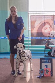 _DSC4053.jpg (72.68 КБ, Просмотров: 9951) _DSC4053.jpg