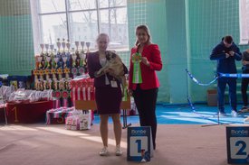 _DSC3476.jpg (87.72 КБ, Просмотров: 9929) _DSC3476.jpg