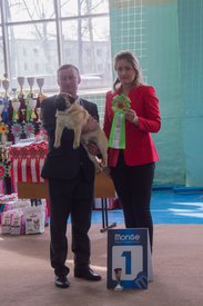 _DSC3487.jpg (78.88 КБ, Просмотров: 9950) _DSC3487.jpg