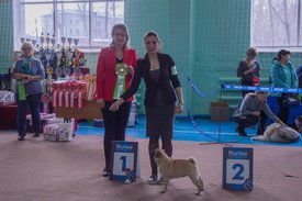 _DSC3500.jpg (86.31 КБ, Просмотров: 9952) _DSC3500.jpg