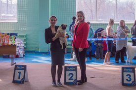 _DSC3516.jpg (88.67 КБ, Просмотров: 10906) _DSC3516.jpg