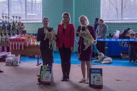 _DSC3531.jpg (90.05 КБ, Просмотров: 9606) _DSC3531.jpg