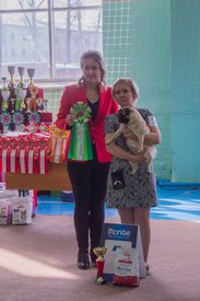 _DSC3541.jpg (82.21 КБ, Просмотров: 9561) _DSC3541.jpg