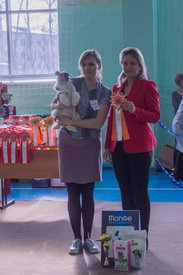 _DSC3679.jpg (78.56 КБ, Просмотров: 9929) _DSC3679.jpg