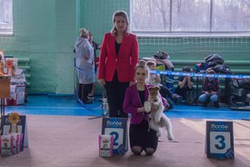 _DSC3687.jpg (85.27 КБ, Просмотров: 10420) _DSC3687.jpg