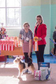 _DSC3712.jpg (80.19 КБ, Просмотров: 9395) _DSC3712.jpg