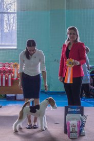 _DSC3722.jpg (76.25 КБ, Просмотров: 9606) _DSC3722.jpg