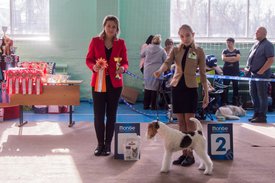 _DSC3749.jpg (90.96 КБ, Просмотров: 9395) _DSC3749.jpg