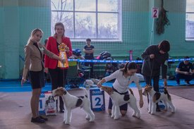 _DSC3769.jpg (85.19 КБ, Просмотров: 10904) _DSC3769.jpg