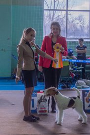 _DSC3777.jpg (84.26 КБ, Просмотров: 10420) _DSC3777.jpg